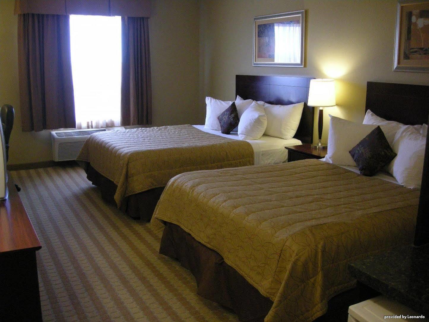 Best Western Rocky Mountain House Kamer foto